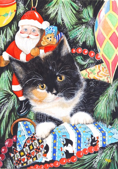 siyah beyaz noel kedi yavrusu by Tony Todd
