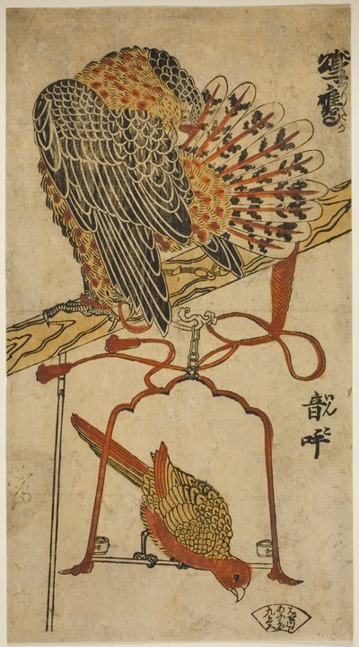 Atmaca ve Amerika Papağanı (Konori taka, inko) by Torii Kiyomasu I