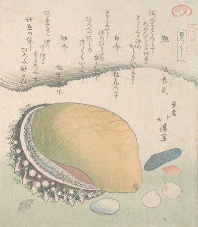 Awabi Kulak Kabuğu ve Çeşitli Kabuklar, 19. yüzyıl. by Totoya Hokkei