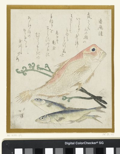 Üç balık ve bracken by Totoya Hokkei