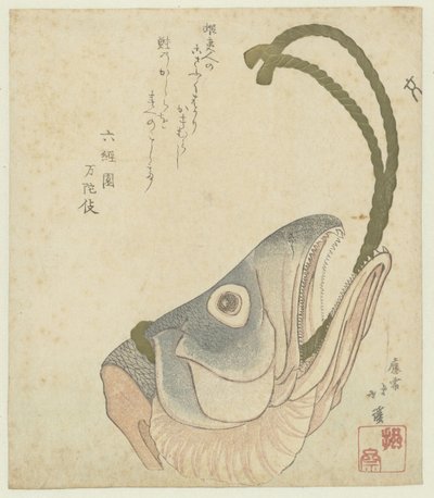 bir somon başkanı by Totoya Hokkei