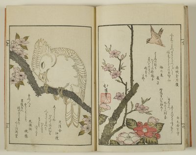  by Totoya Hokkei