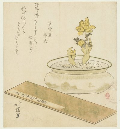 Saksı Bitkisi ve Almanak by Totoya Hokkei