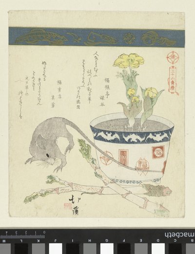 Fare ve Adonis ile gel Otuz altı kuş serisi (dizi başlığı) Sanjurokutoritsukushi (nesne üzerinde dizi başlığı) by Totoya Hokkei