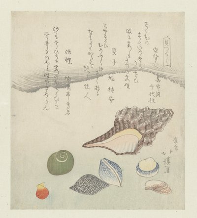 Yansıma kabuğu, fildişi kabuğu ve triton kabuğu Utsusegai baishi hora (nesne üzerindeki başlık) Bir dizi mermi (dizi başlığı) Kaitsukushi (nesne üzerinde dizi başlığı) by Totoya Hokkei