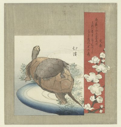 kaplumbağalar by Totoya Hokkei