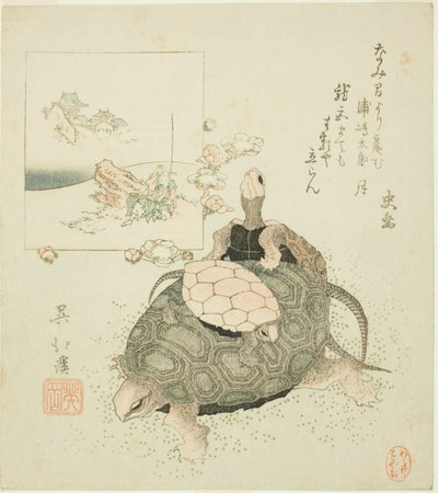 Deniz kaplumbağaları ve Urashima Taro by Totoya Hokkei