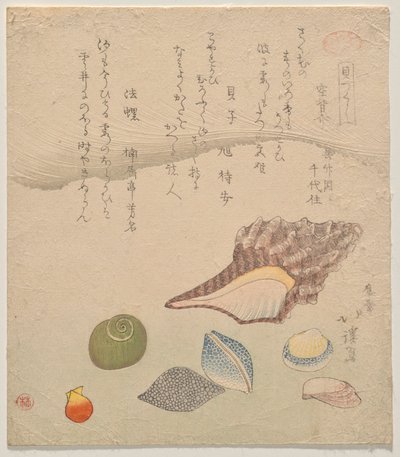 Denizin Kıyısında Yedi Kabuk, Kabuklar Özeti (Kaizukushi) serisinden by Totoya Hokkei