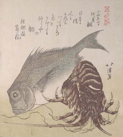 Tai Balığı ve Istakoz, Odawara-cho