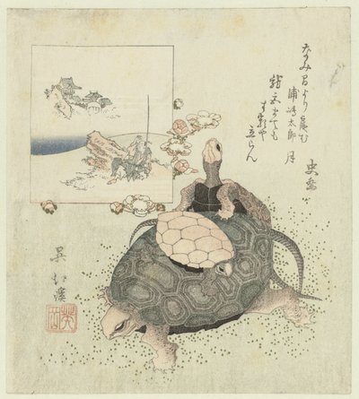 Kaplumbağalar by Totoya Hokkei