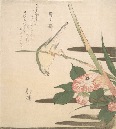Warbler ve Camellia, yak. 1815-20. by Totoya Hokkei