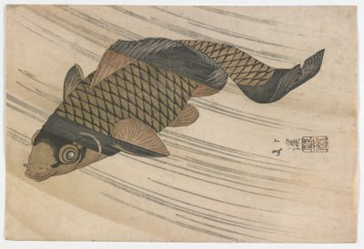 Membada Yüzen Sazan, Edo dönemi, 1820