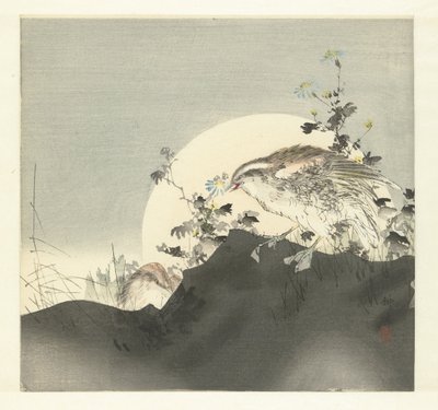 Bıldırcın by Tsukioka Kogyo
