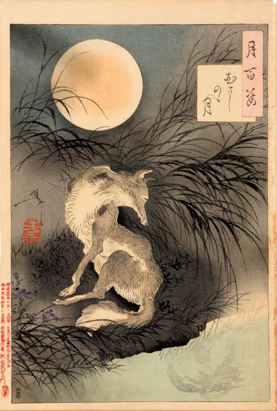 Musashi Ovası