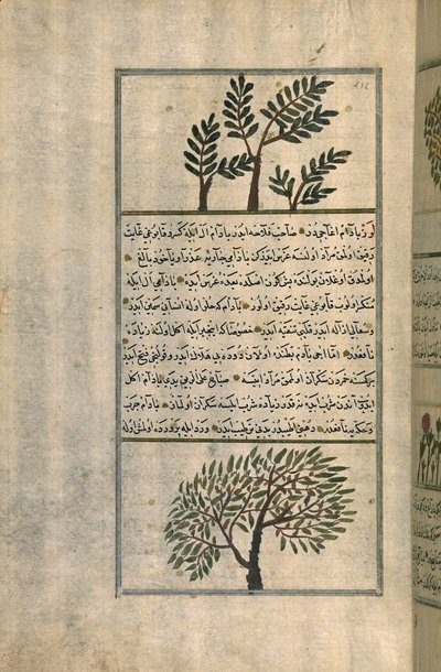 Zakariya ibn Muhammed al-Qazwini