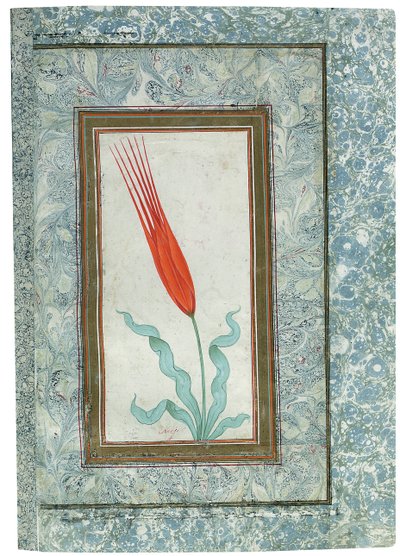 Türk Lale albümünden sayfa, İstanbul, 1725 by Turkish School