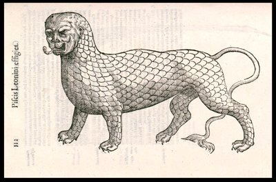 Canavar Yaratık: balık pulları (veya aslan balığı) ile kaplı bir aslan. Gravür Ulisse Aldrovandi (1522-1605), “Monstrorum Historiae”, Bologna 1642 by Ulisse Aldrovandi