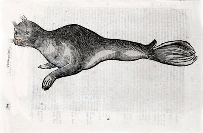 Ulisse Aldrovandi (1522-1605), Ulisse Aldrovandi fonds, University Library of Bologna, ed. 1603. by Ulisse Aldrovandi