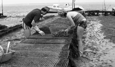 6080 C18 Ostregrower, Vendee Oyster Ağustos 1974 by Unbekannt