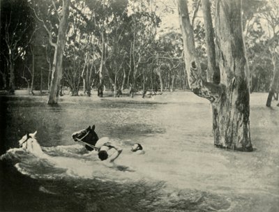 Bir Bankacı, 1901. by Unbekannt