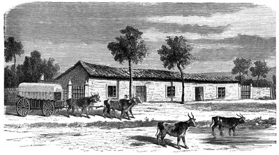 Bir Boer çiftliği, Güney Afrika, c1890 by Unbekannt