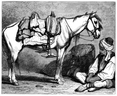 Bosnalı bir köylü, c1890 by Unbekannt