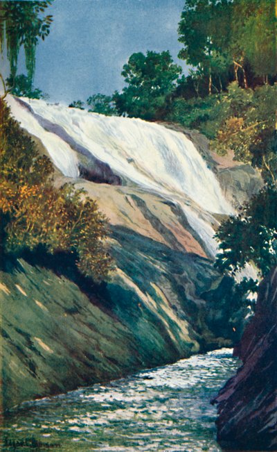 Tijuca Çağlayanı, Rio, 1914 by Unbekannt