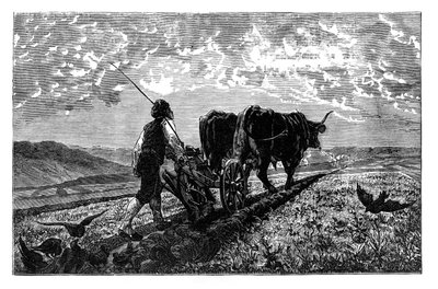 Fransız bir tarım uzmanı, c1890 by Unbekannt