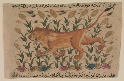 Shahmerdan ibn Abi