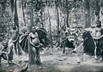 Bir Pigme köyü, Kuzey-Doğu Kongo Havzası, 1912 by Unbekannt