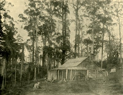 Rustik Bir Konut, 1901. by Unbekannt