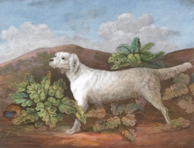 Bir Pasör: Sola Bakmak, Solda Dulavratotu Arasında Saklanan Keklik, yaklaşık. 1805. by Unbekannt
