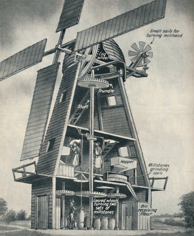 Stuart Days, c1934