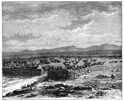 Bir Güney Afrika sığır kraal, c1890 by Unbekannt
