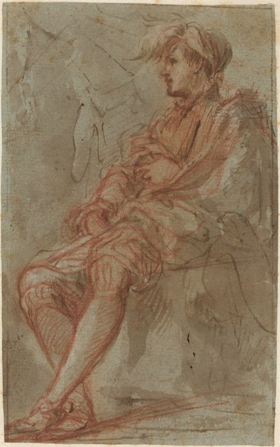 Genç Bir Adam, 16. yüzyıl. by Unbekannt