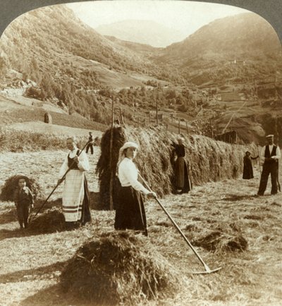 Dağlar arasındaki güneşli bir tarlada saman yapan çiftçi bir aile, Roldal, Norveç, c1905. by Unbekannt