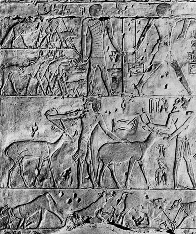 Ptahhotep'in mezarından bir av sahnesi, Saqqara, Mısır, c2650 BC 1936 by Unbekannt