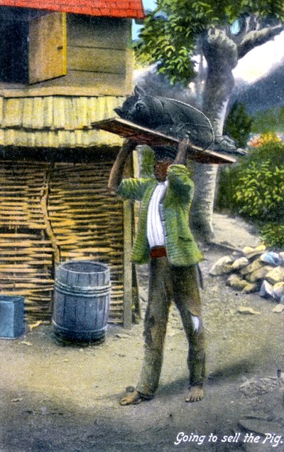 Domuz satmak için pazara giden bir adam, Jamaika, c1900s by Unbekannt