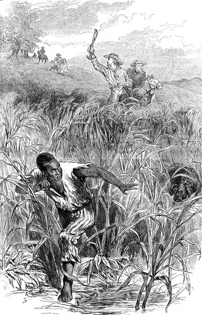 Bir köle avı, ABD, 19. yüzyıl ortası 1880 by Unbekannt