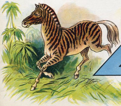Bir zebra. "ABC L