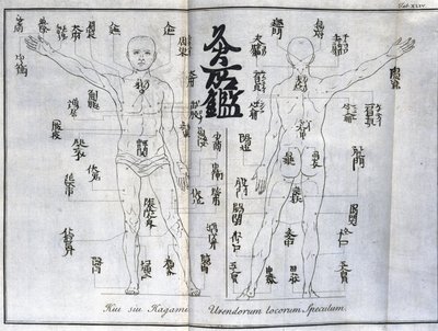 Akupunktur: yakı noktalarını gösteren insan vücudunun haritası, Japonya (Moxa ile ilgili çizelge, c 1690) by Unbekannt