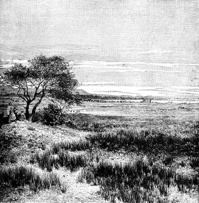 Ağa Vadisi, Central Pampa, Arjantin, 1895 by Unbekannt