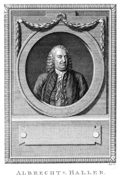 Albrecht von Haller, İsviçreli doktor ve bilim adamı, c1770 c1780 by Unbekannt