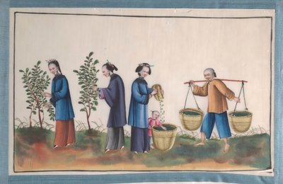 İpek Yapan İnsanların On İki Resmini İçeren Albüm, 19. yüzyıl. by Unbekannt