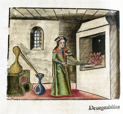 Simya 16. yüzyıl: iş başında bir simyacı, atölyesinin şöminesinin önünde bir körüğü çalıştırıyor, onun arkasında bir soba ve bir damıtma by Unbekannt