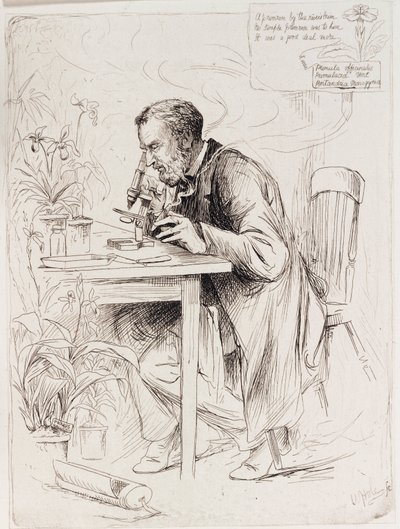Alexander Dickson, botanikçi by Unbekannt