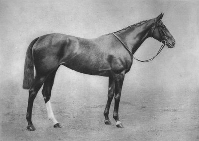 Amerikalı Kız, 1911 by Unbekannt