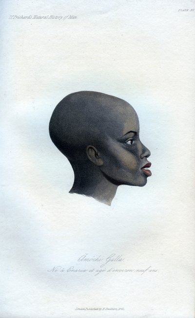Amochi Galla, bir Galla portresi, 1848 by Unbekannt