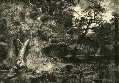 Eski Bir Alman Ormanı, 1890. by Unbekannt