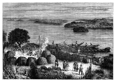 Kongo Nehri üzerinde bir kamp yeri, Afrika, c1890 by Unbekannt